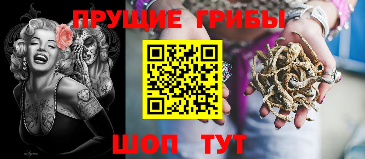 Галлюциногенные грибы ЛСД  Галлюциногенные грибы Psilocybe  Сосновый Бор  Вход с VPN 