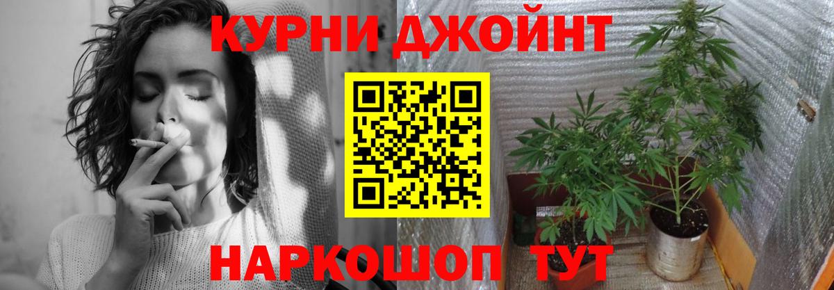 Конопля THC 21% Сосновый Бор